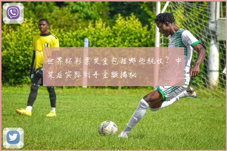 世界杯彩票奖金包括哪些税收？中奖后实际到手金额揭秘