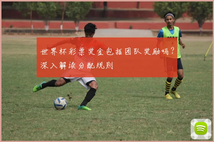 世界杯彩票奖金包括团队奖励吗？深入解读分配规则