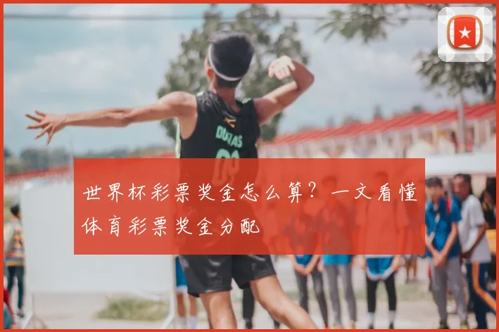 世界杯彩票奖金怎么算？一文看懂体育彩票奖金分配