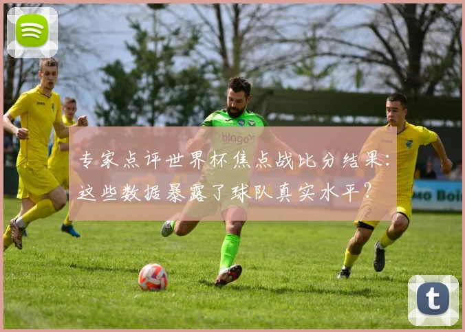 专家点评世界杯焦点战比分结果:这些数据暴露了球队真实水平?