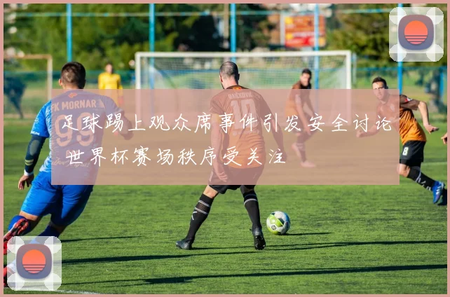 足球踢上观众席事件引发安全讨论 世界杯赛场秩序受关注