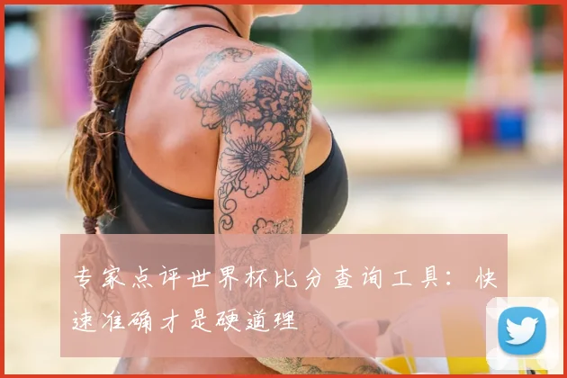 专家点评世界杯比分查询工具：快速准确才是硬道理