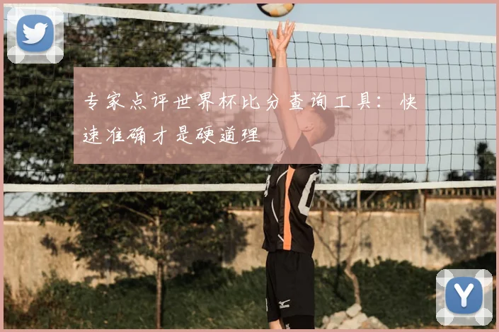 专家点评世界杯比分查询工具:快速准确才是硬道理