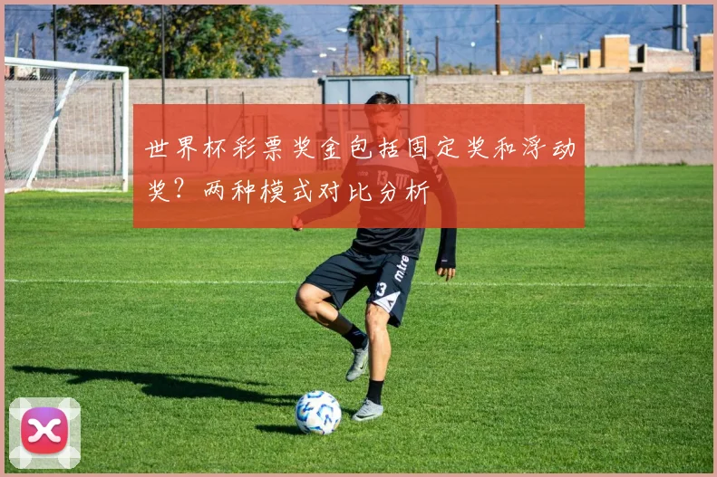 世界杯彩票奖金包括固定奖和浮动奖?两种模式对比分析